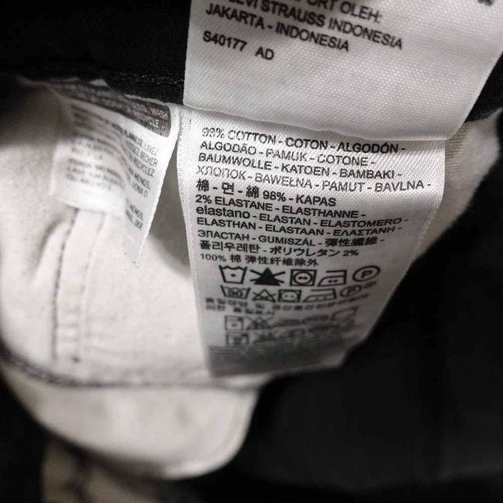 Levis levis 541